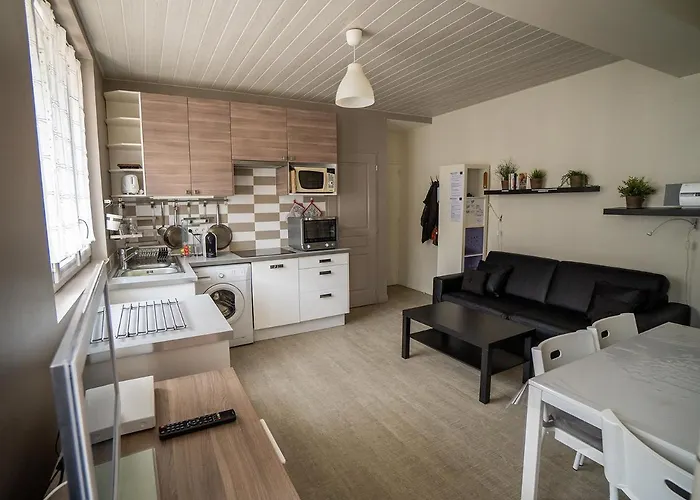 Appartement Mont Dore Face Aux Thermes - Centre
